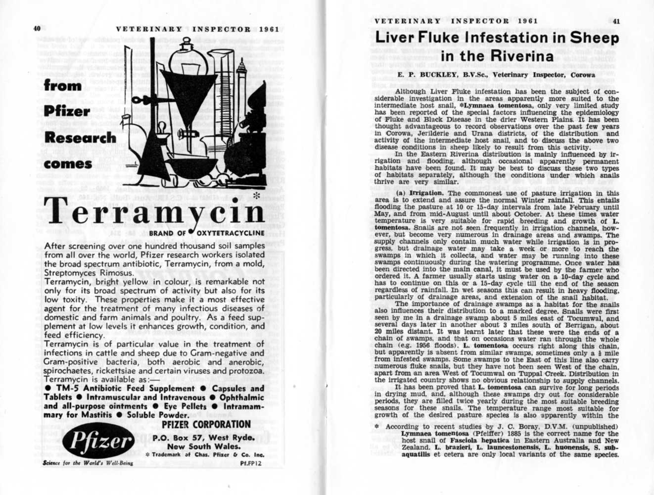 1961 Page 40 41